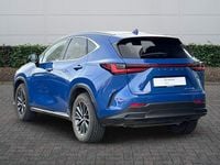 Used Lexus NX450h+ 2023 Blue SUV
