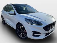 Used Ford Kuga ST-Line X 120 HP (88 kW) 2021 White SUV