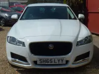 Used Jaguar XF Prestige 2015 White Sedan