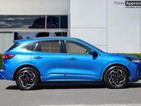 Używany Ford Kuga ST-Line X 183 KM (134 kW) 2025 Niebieski SUV