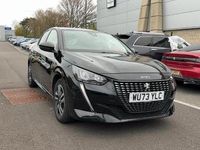 Used Peugeot 208 Allure+ 102 HP (75 kW) 2023 Hatchback