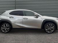 Used Lexus UX 250h Sport Design Packet 184 HP (135 kW) 2024 SUV