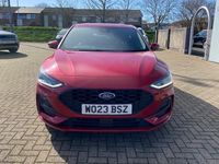 Used Ford Focus ST-Line X 155 HP (114 kW) 2024 Hatchback
