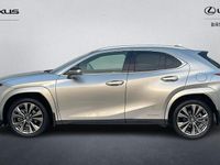 Used Lexus UX 250h Sport Line 184 HP (135 kW) 2022 SUV