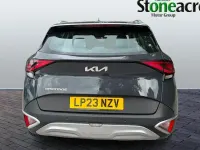Used Kia Sportage 150 HP (110 kW) 2023 SUV