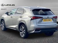 Used Lexus NX300h Sport Line 197 HP (144 kW) 2021 Silver SUV