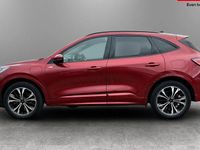 Used Ford Kuga ST-Line X 224 HP (164 kW) 2023 SUV