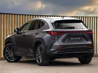 Used Lexus NX450h+ 306 HP (225 kW) 2022 Grey SUV