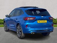 Used Ford Kuga ST-Line X 2024 Blue SUV