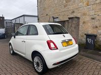 Used Fiat 500 Pop 69 HP (50 kW) 2016 White Hatchback