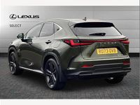 Used Lexus NX350h 245 HP (180 kW) 2024 Green SUV