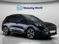 Used Ford Kuga ST-Line X 150 HP (110 kW) 2023 Black SUV