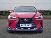 Used Lexus NX450h+ 2025 Red SUV