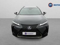 Used Lexus UX 250h 184 HP (135 kW) 2024 SUV