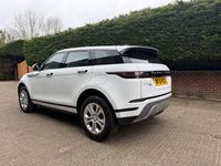 Used Land Rover Range Rover evoque S 160 HP (117 kW) 2021 White SUV