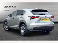 Used Lexus NX300h Luxury Line 197 HP (144 kW) 2017 Silver SUV