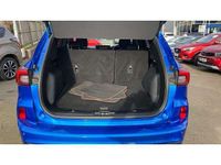 Used Ford Kuga ST-Line 150 HP (110 kW) 2025 Blue SUV