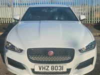 Used Jaguar XE R-Sport 200 HP (147 kW) 2018 White Sedan