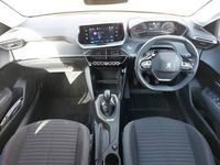 Used Peugeot 208 Active+ 75 HP (55 kW) 2023 Yellow Hatchback