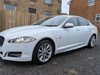 Used Jaguar XF 200 HP (147 kW) 2013 White Sedan