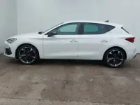 Used Cupra Leon 150 HP (110 kW) 2024 White Hatchback