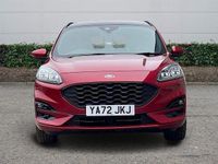 Used Ford Kuga ST-Line X 190 HP (139 kW) 2023 SUV