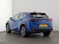 Used Lexus UX 150 kW (204 HP) 2024 Blue SUV
