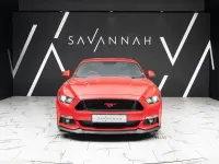 Used Ford Mustang GT Fastback 416 HP (305 kW) 2018 Red Coupe