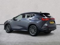 Used Lexus NX350h 240 HP (176 kW) 2024 Grey Estate