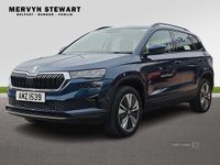 Used Skoda Karoq SE Drive 2023 Blue SUV