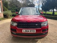 used Land Rover Range Rover 3.0 TDV6 Autobiography 4dr Auto