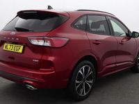 Used Ford Kuga ST-Line X 190 HP (139 kW) 2023 Red SUV