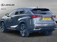 Used Lexus NX300h 194 HP (142 kW) 2021 Mercury grey SUV