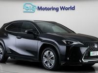 Used Lexus UX 150 kW (204 HP) 2022 SUV