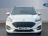 Used Ford Kuga ST-Line X 243 HP (178 kW) 2023 White SUV