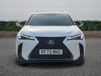 Used Lexus UX 250h Sport Line 2023 White SUV