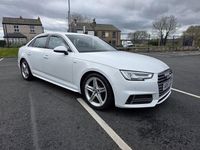 Used Audi A4 S-Line 150 HP (110 kW) 2017 White Sedan