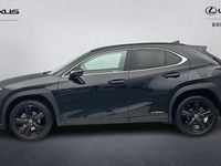 Used Lexus UX 250h 184 HP (135 kW) 2024 SUV