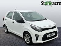 Used Kia Picanto 66 HP (48 kW) 2019 White Hatchback