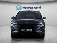 Used Ford Kuga ST-Line 224 HP (164 kW) 2022 Blue SUV