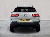 Used Citroën C4 Cactus Origins 110 HP (80 kW) 2019 White Hatchback