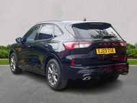 Used Ford Kuga ST-Line 150 HP (110 kW) 2023 Black SUV
