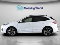 Used Ford Kuga ST-Line X 150 HP (110 kW) 2023 White SUV