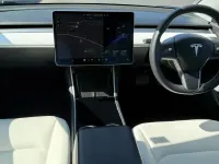 Used Tesla Model 3 Standard Range 239 kW (325 HP) 2019 Blue Sedan