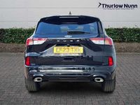 Used Ford Kuga ST-Line X 150 HP (110 kW) 2023 Black SUV