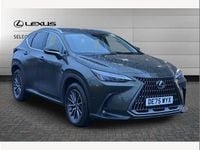Used Lexus NX350h 243 HP (178 kW) 2025 Green SUV