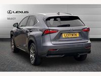 Used Lexus NX300h Luxury Line 197 HP (144 kW) 2017 Grey SUV