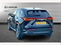 Used Lexus NX450h+ 309 HP (227 kW) 2025 Black SUV
