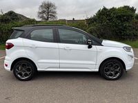 Used Ford Ecosport ST-Line 125 HP (91 kW) 2020 White SUV