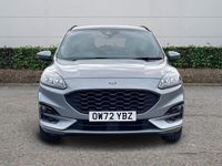 Used Ford Kuga ST-Line X 2023 Silver SUV